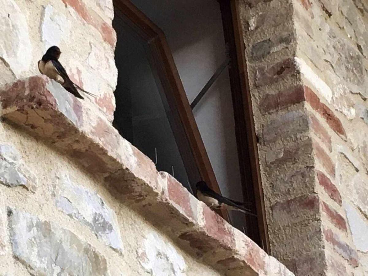 San Venanzo - Casale De Conti Villa Eksteriør bilde